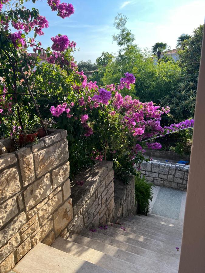Paola Cozy Studio Rovinj Exterior photo